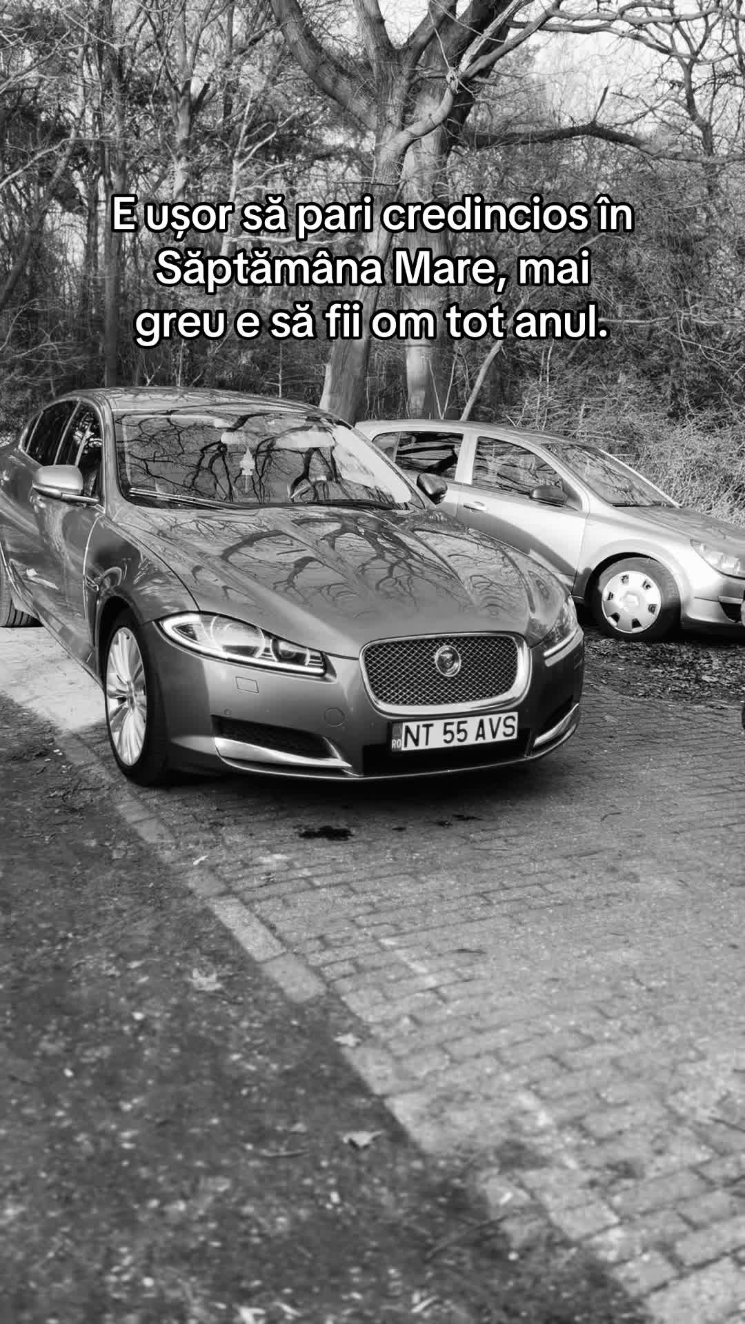 @Stefan Vasile