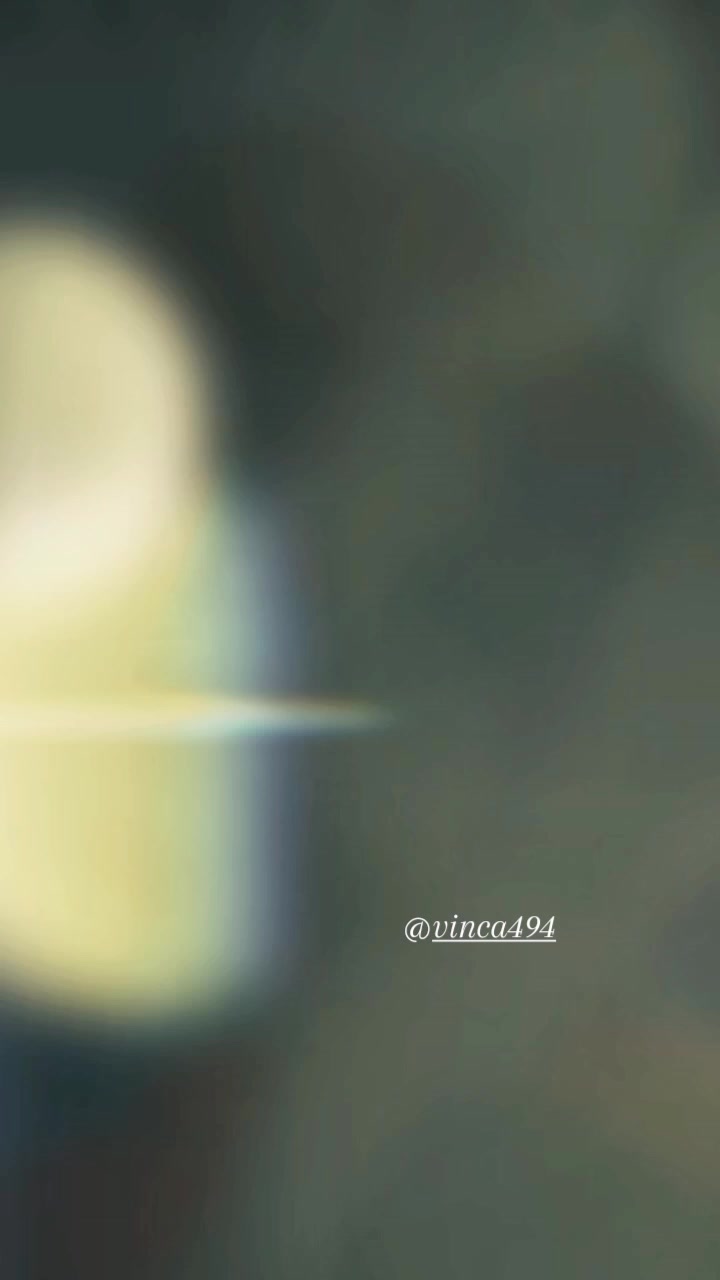 @vinca494