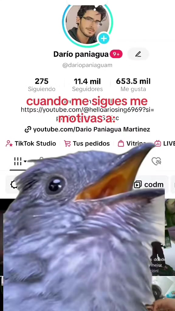 @Darío paniagua| humor | info