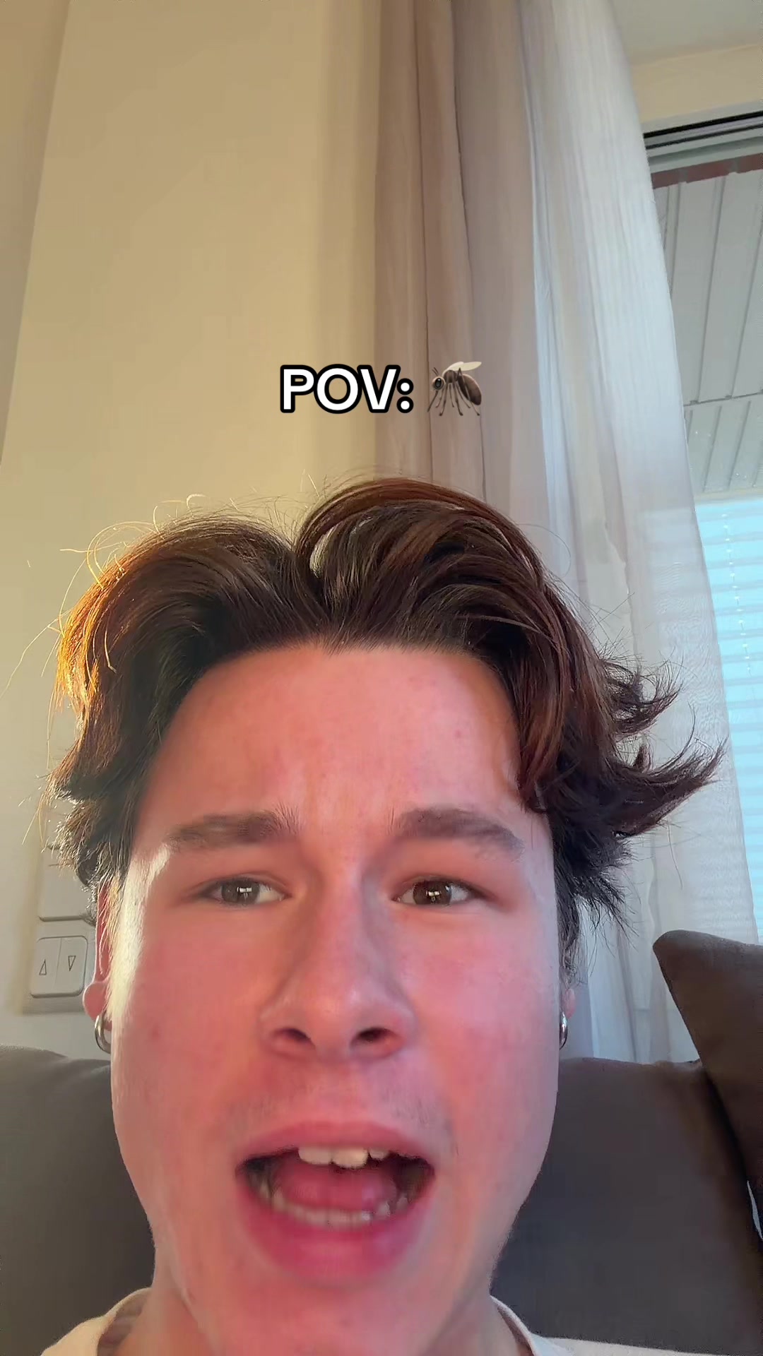 @palantinii
