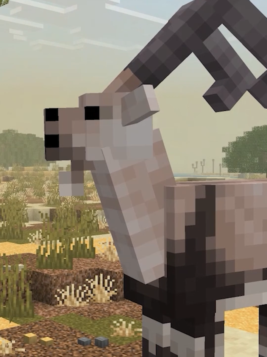 @CompyCraft