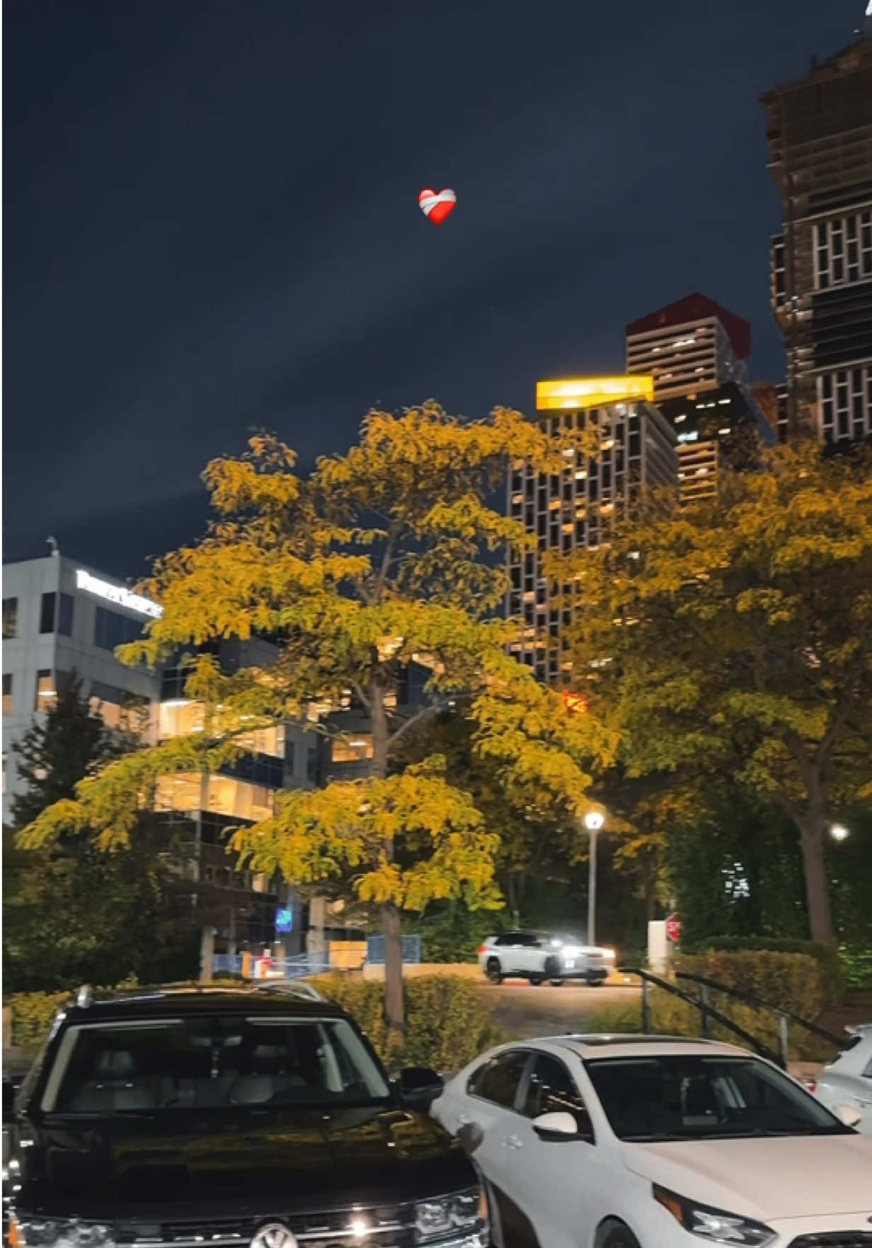 @ᗩᕼS͓̽ᗩᑎ KᗩᑎᗪᗩᕼᗩᖇIོ ✨🧿♛