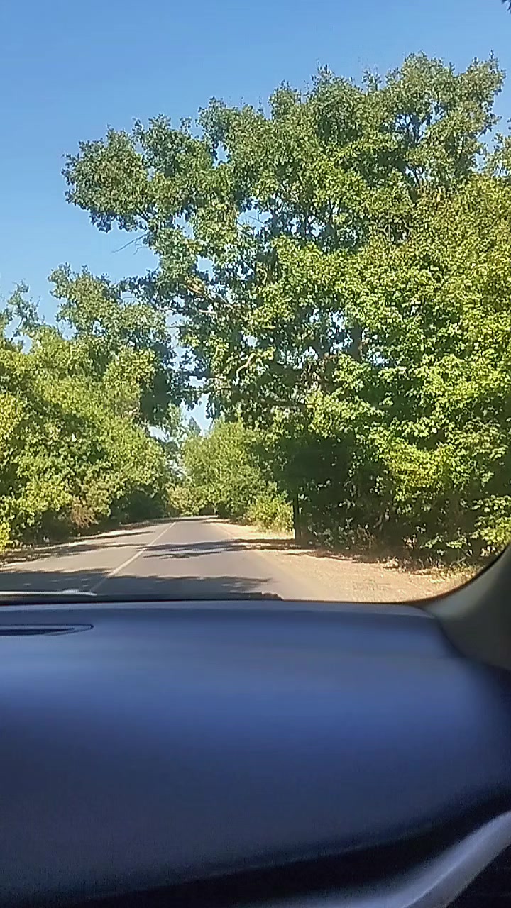 @seide şixeli