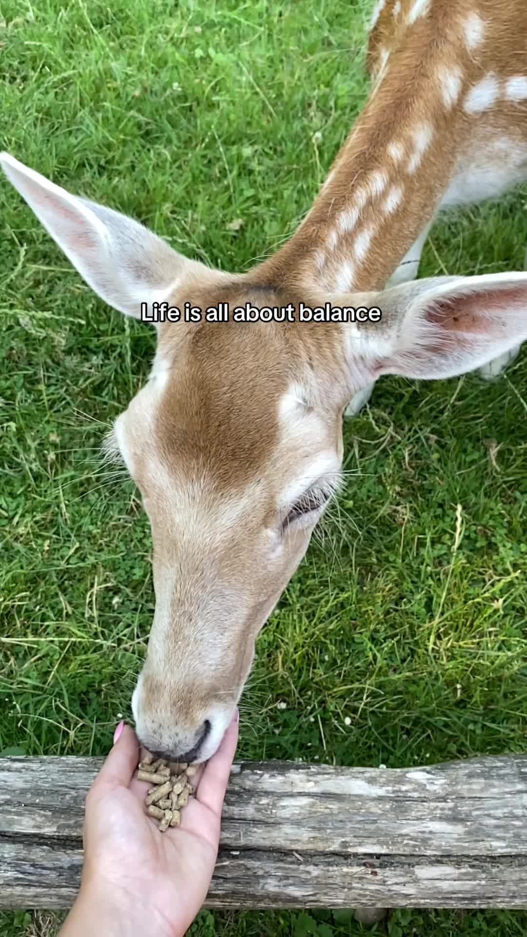 @artemis.a