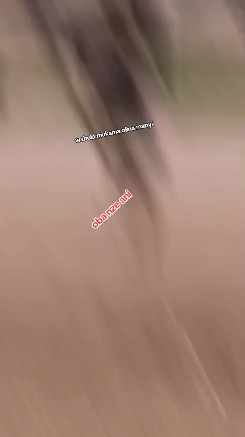 @k&icirc;z&iacute;t&ocirc; ✨✨