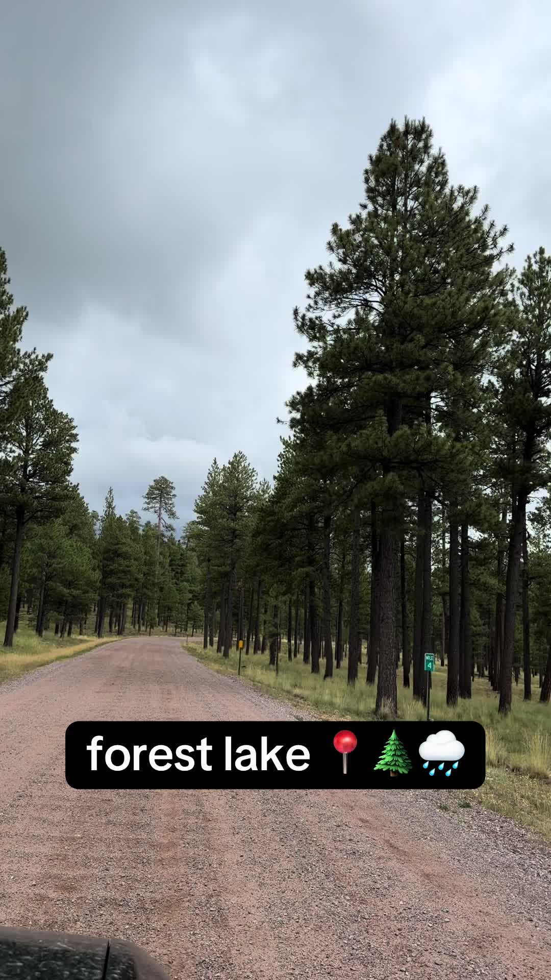 @David explore Arizona 🌲🎣