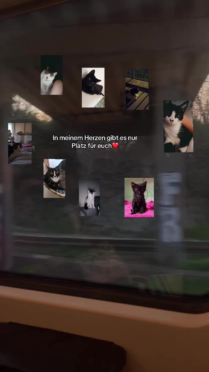 @20.4.2025_ P🕊️🐈&zwj;⬛💭