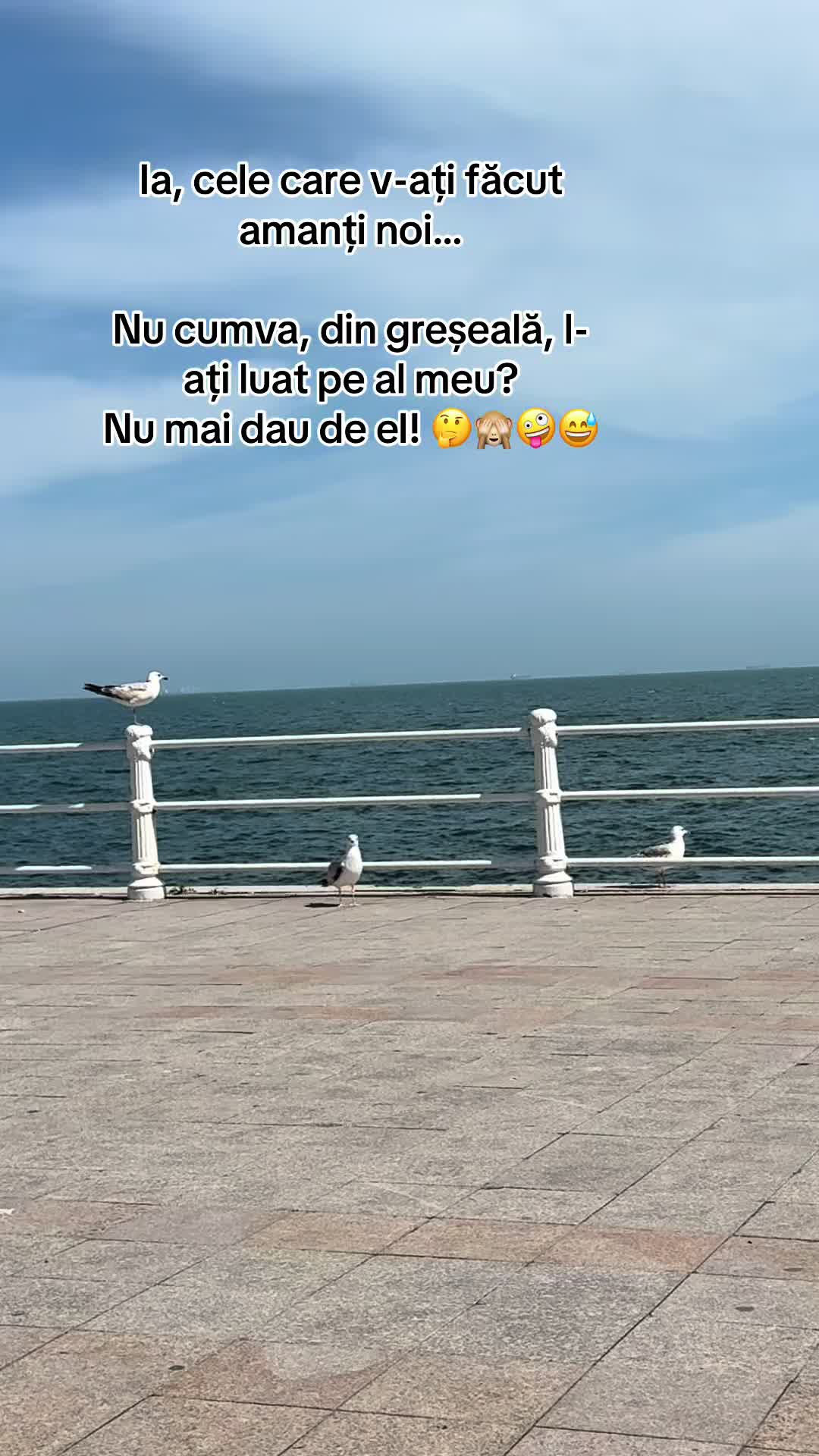 @Annemarie 💜