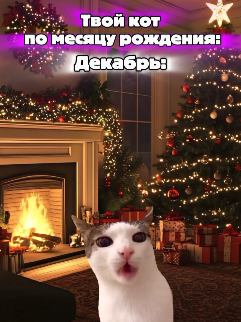 @MisterCat
