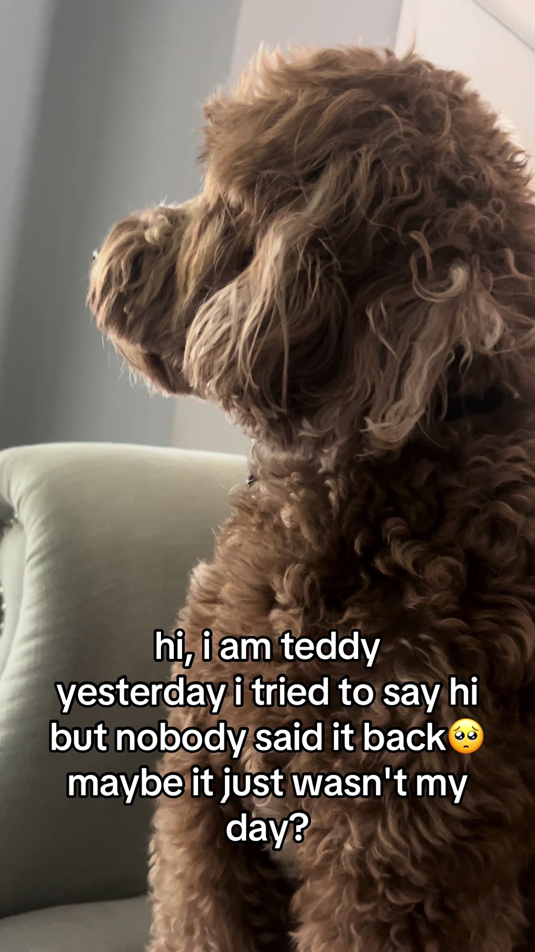 @Goldendoodlelover