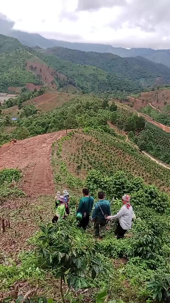 @Vàng A Dế