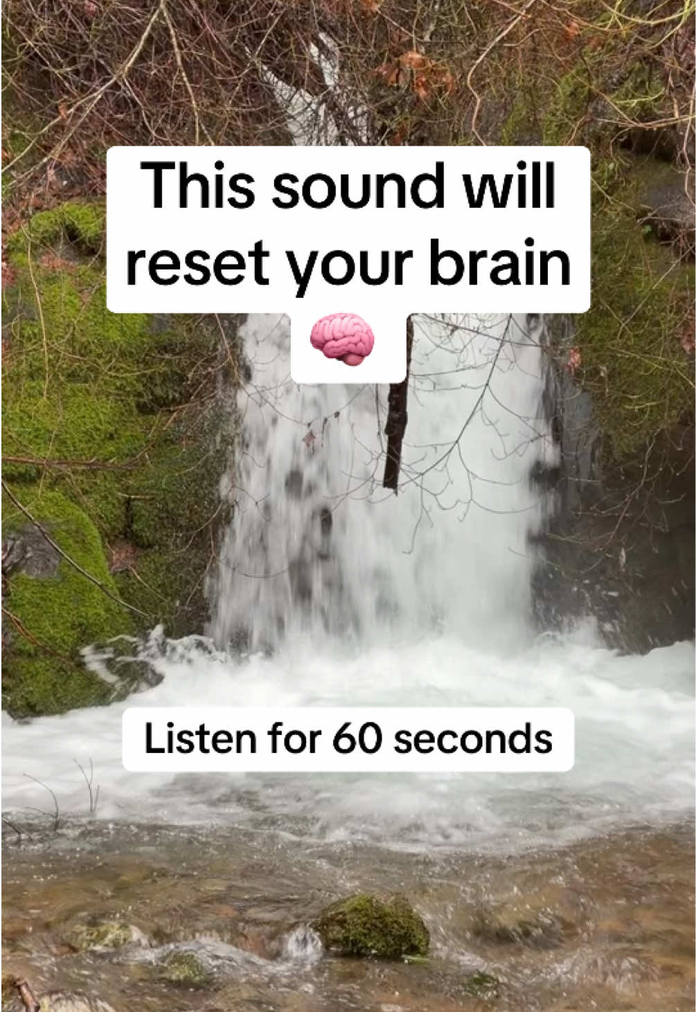 @banahwinn