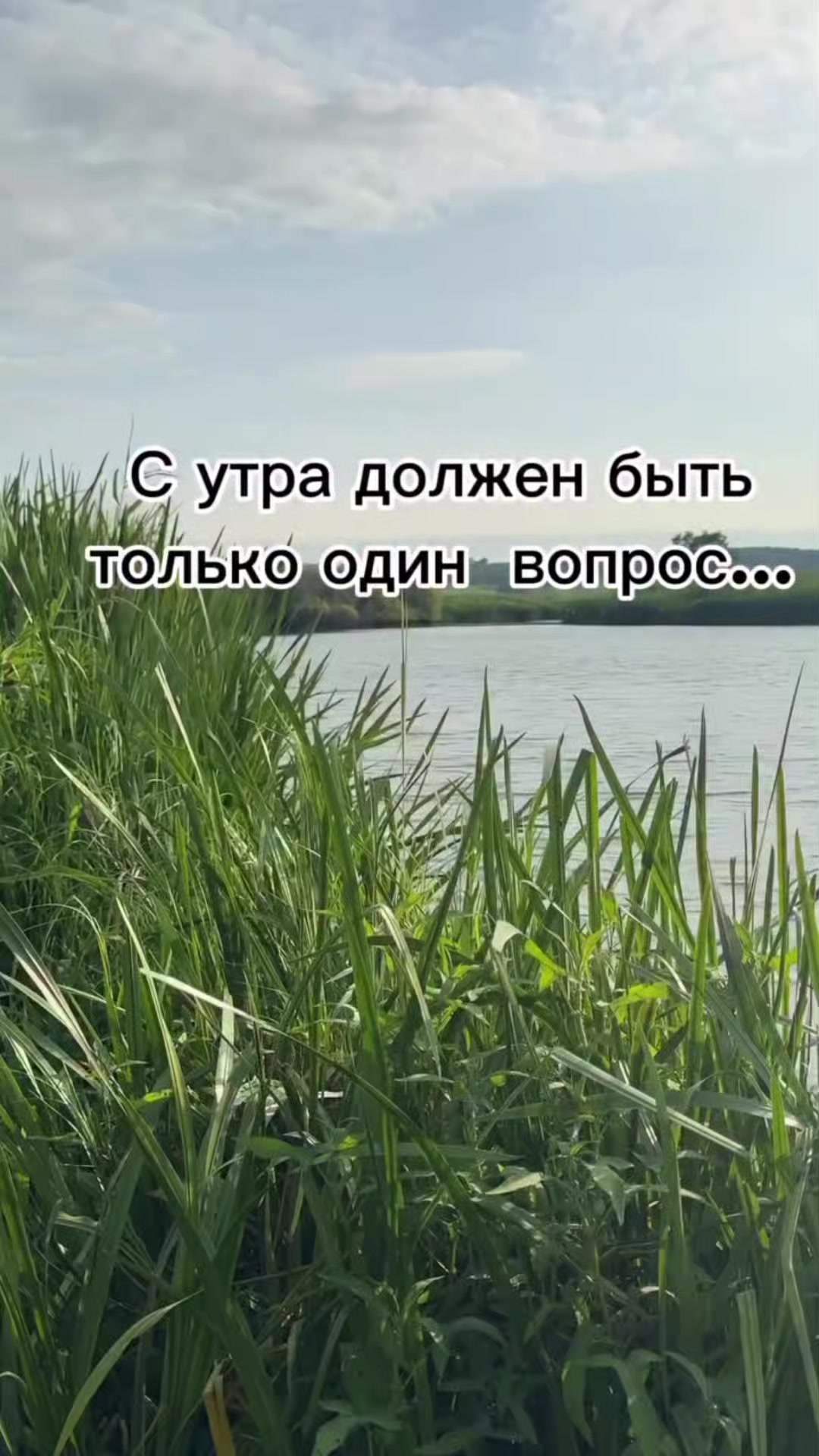 @Ольга Ильчак