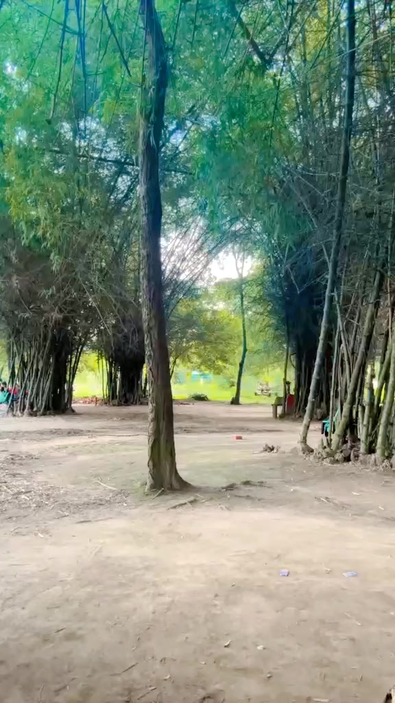 @Hina Basnet