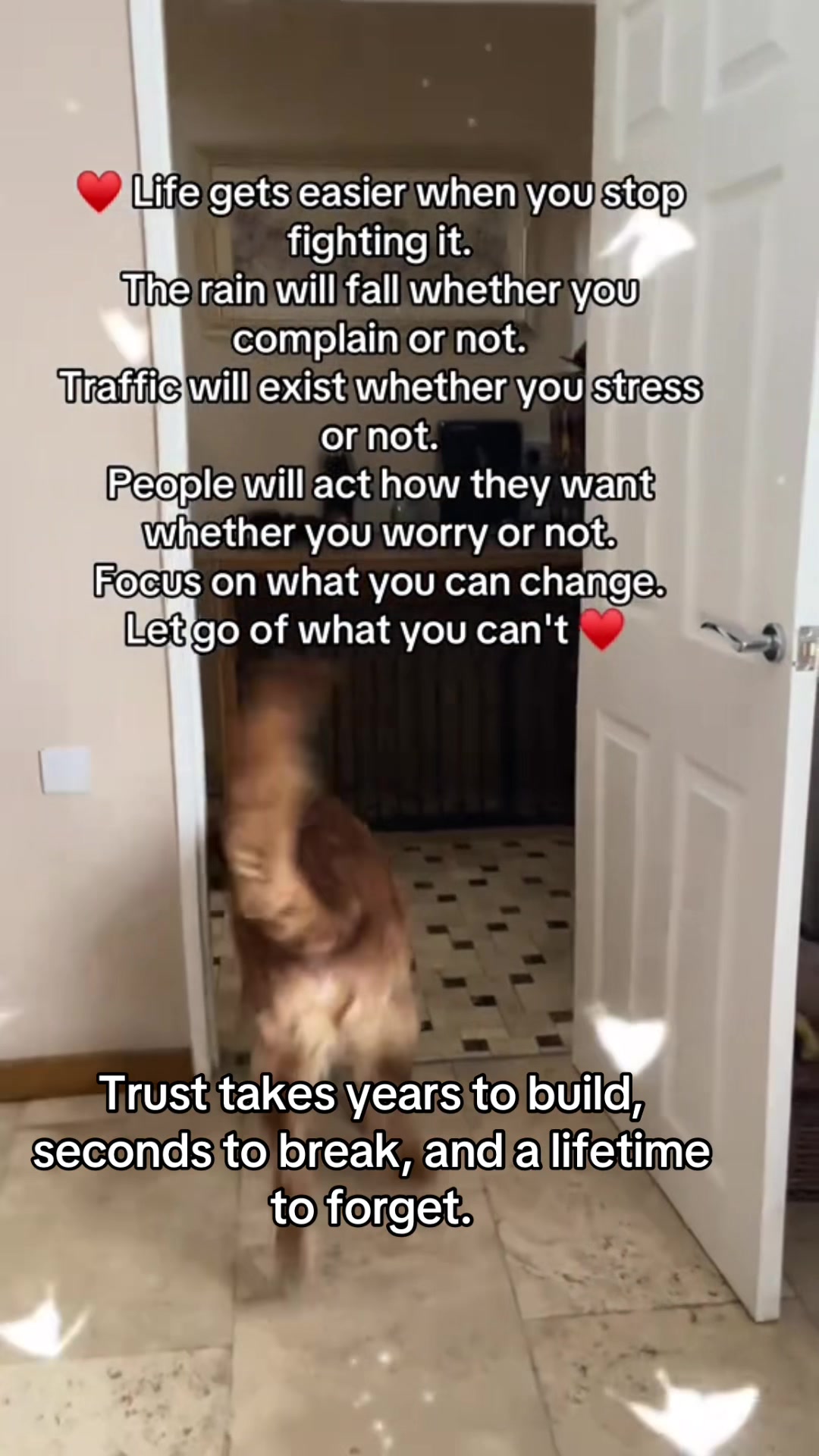 @Happy buddy