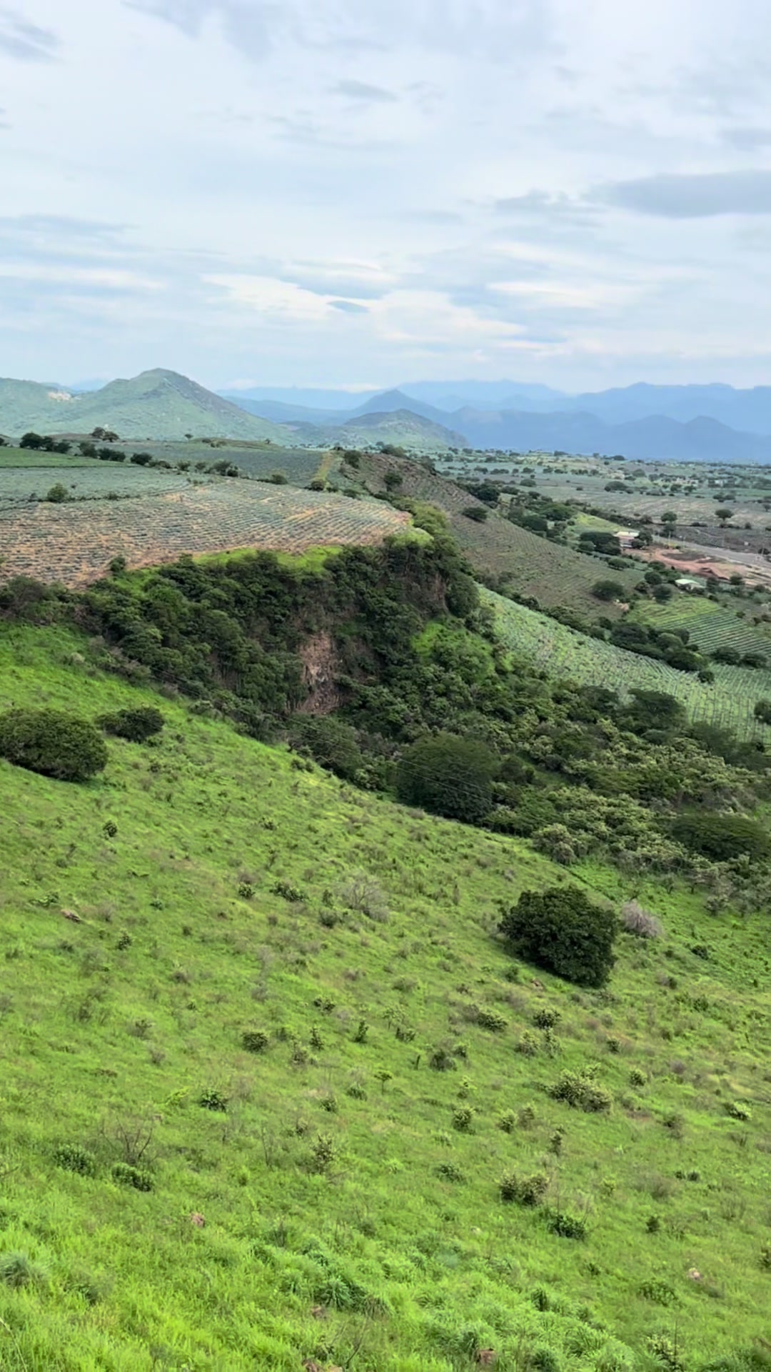@Zulema (Campana)