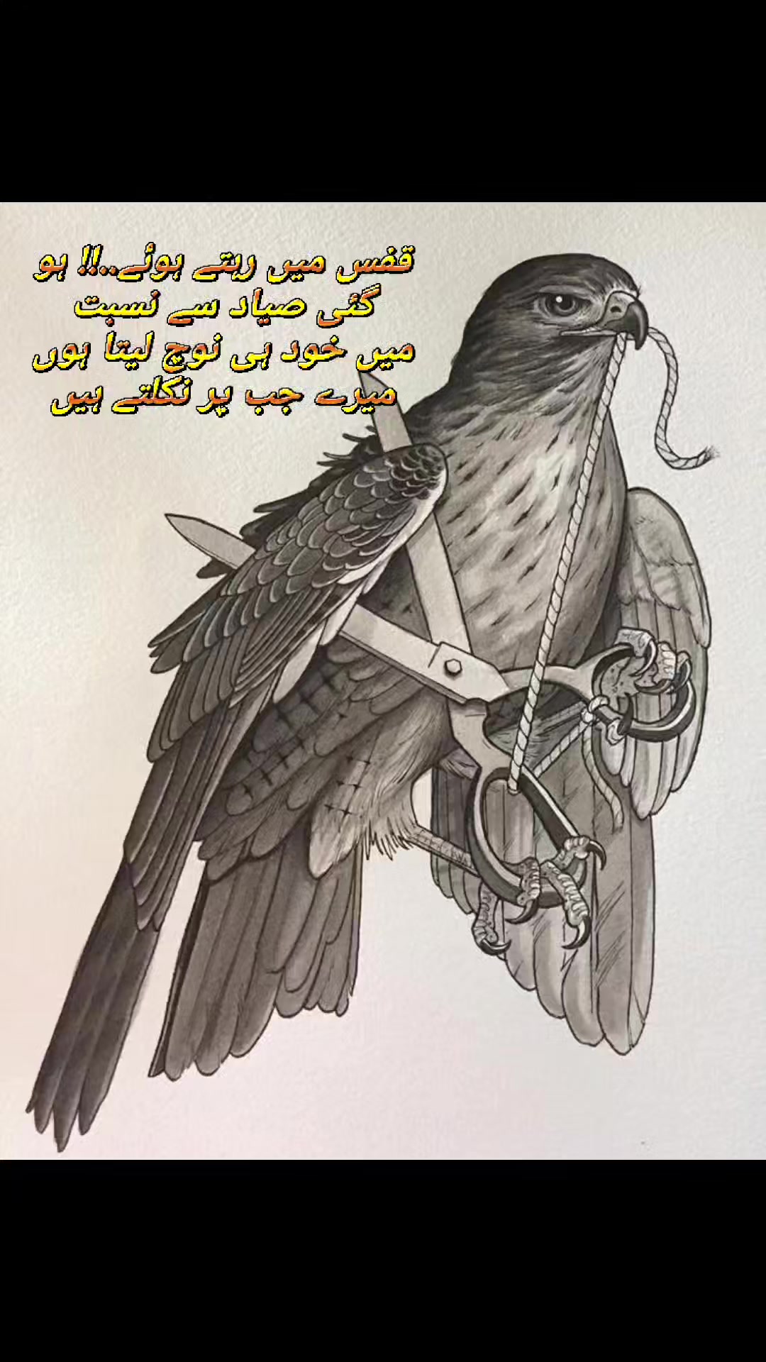 @At!f✍️