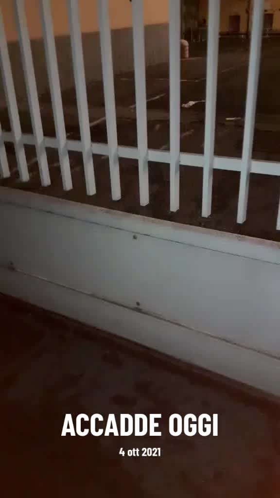 @Roberta