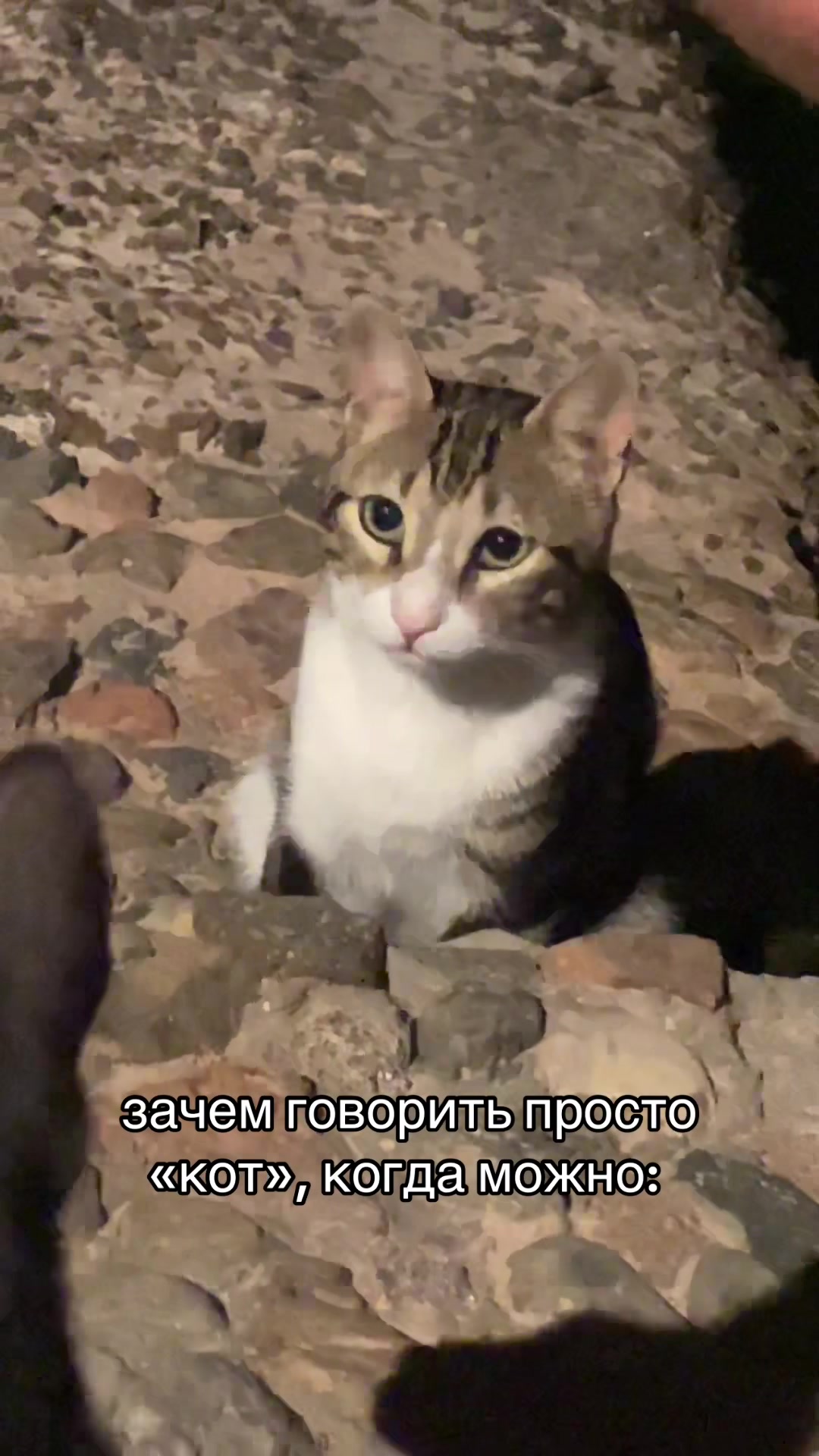 @Sasha Darko