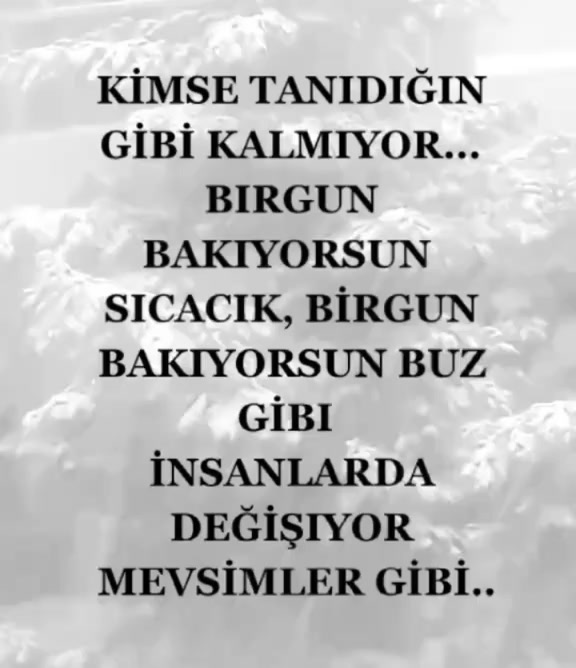 @damar_16