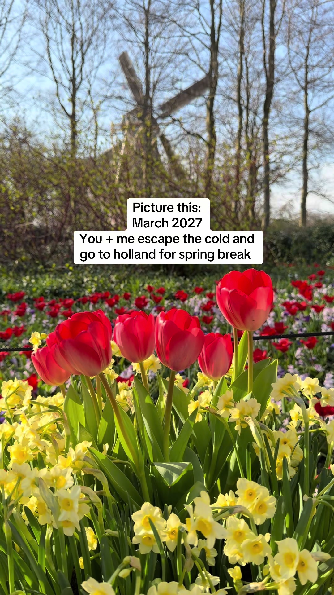 @FarmingInTheBurbs