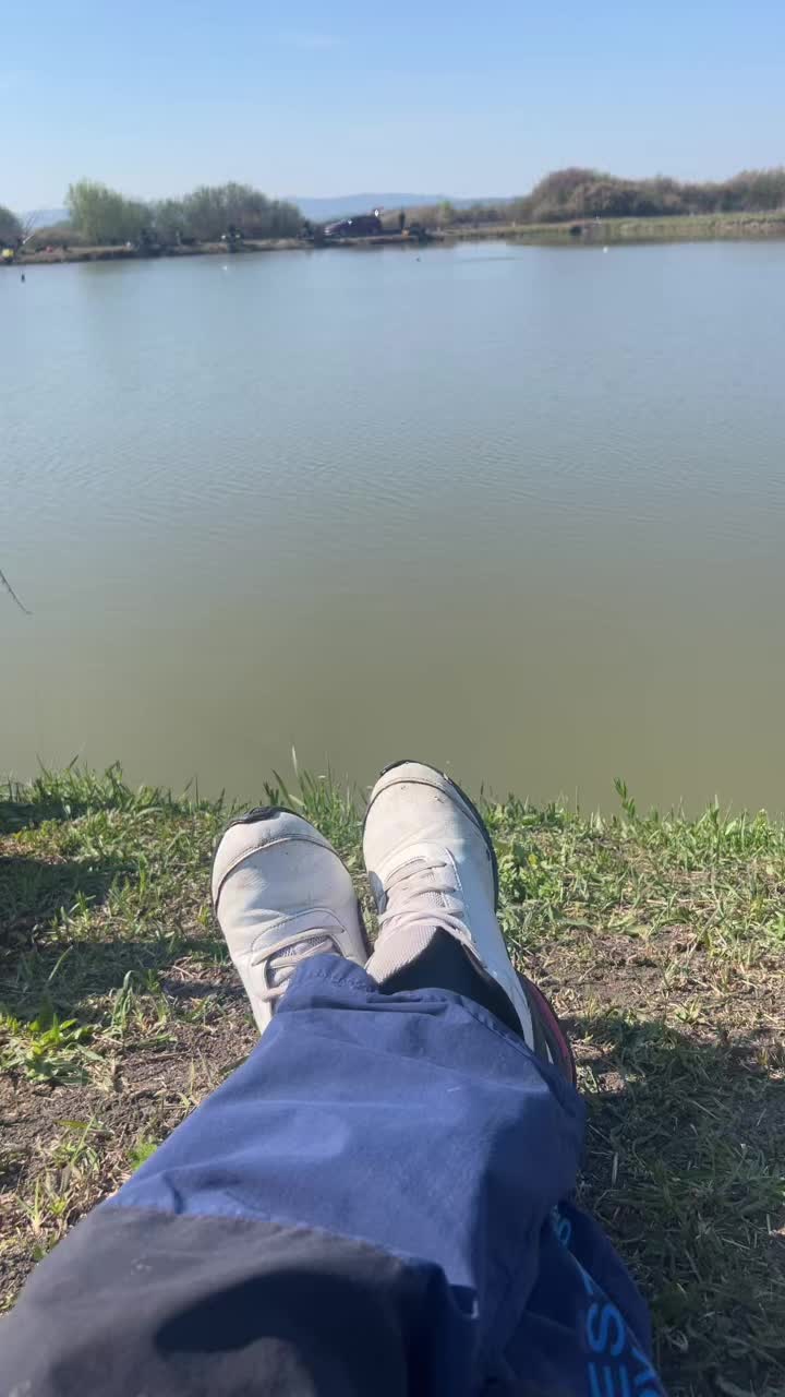 @Puya Andrei