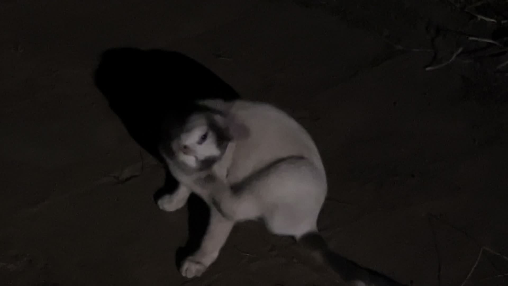 @hiç