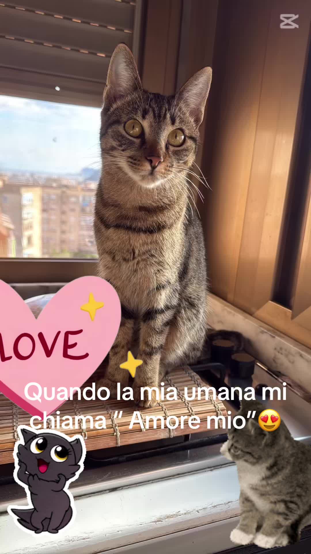 @Lallaspank