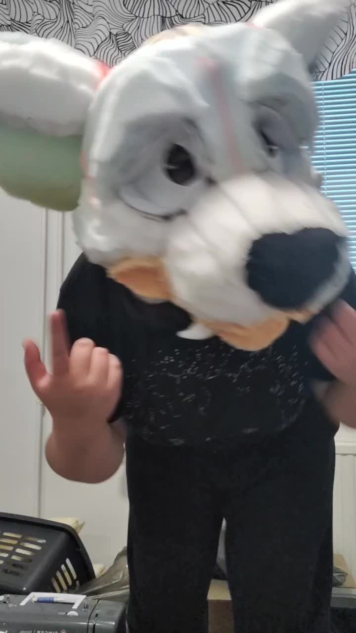 @pluto