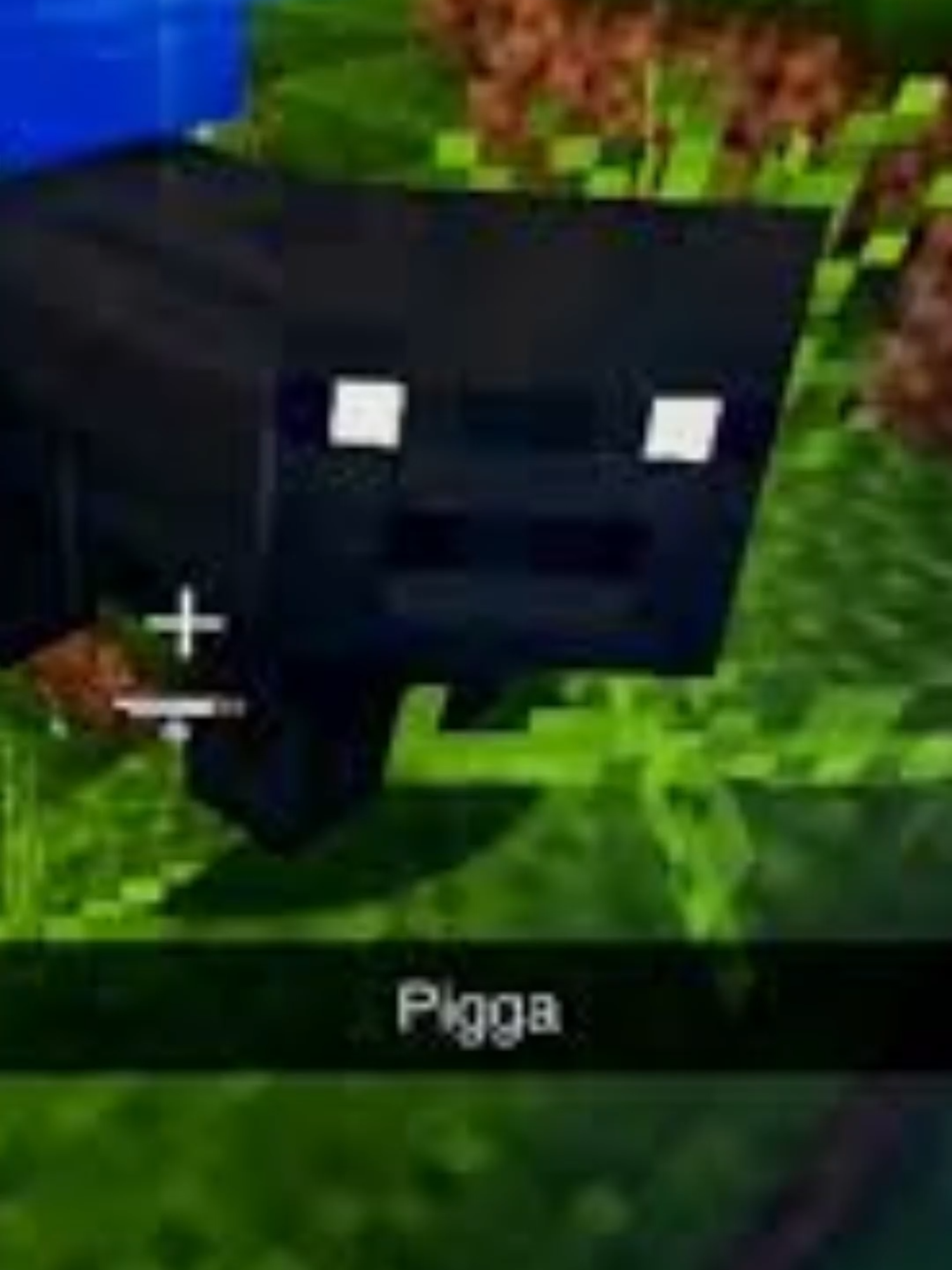 @RafitaYT