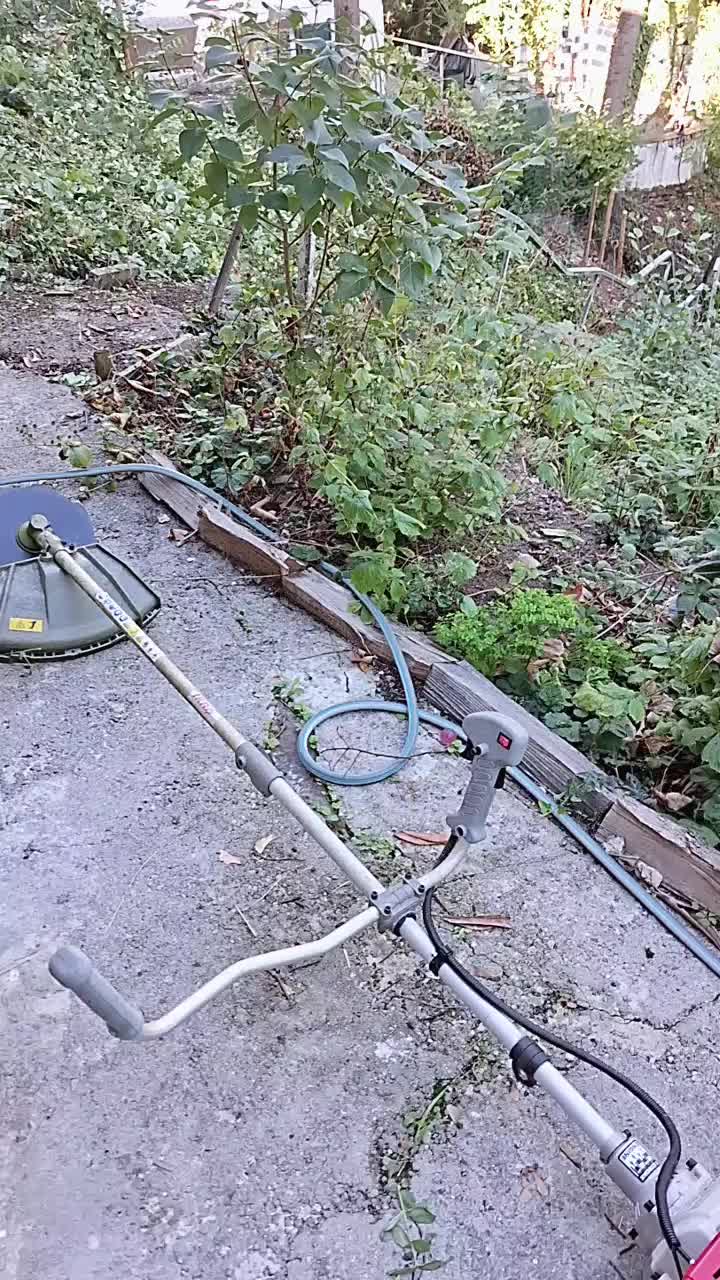 @🇷🇴Mihăiță🙈Gabriel🇩🇪
