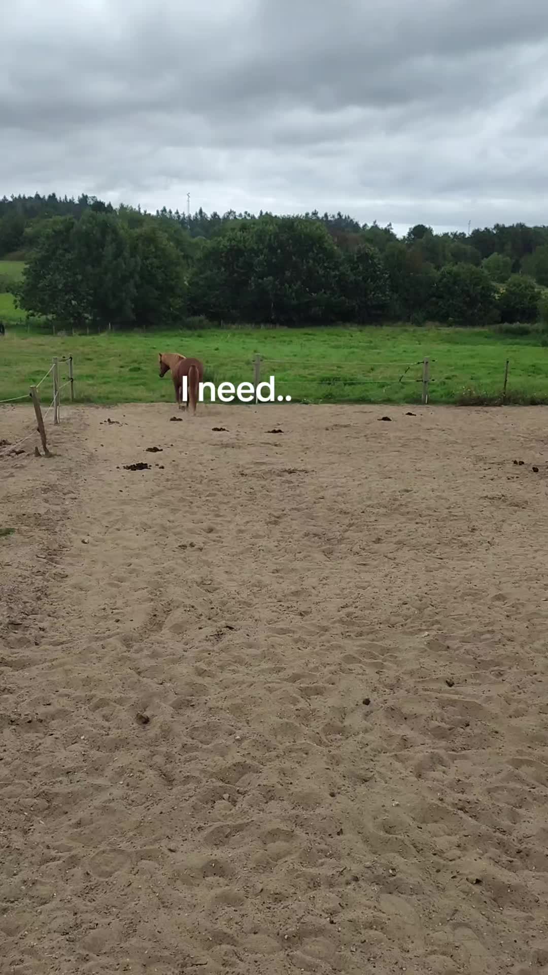 @Equestrian_Dk๐ฉ๐ฐโโโ