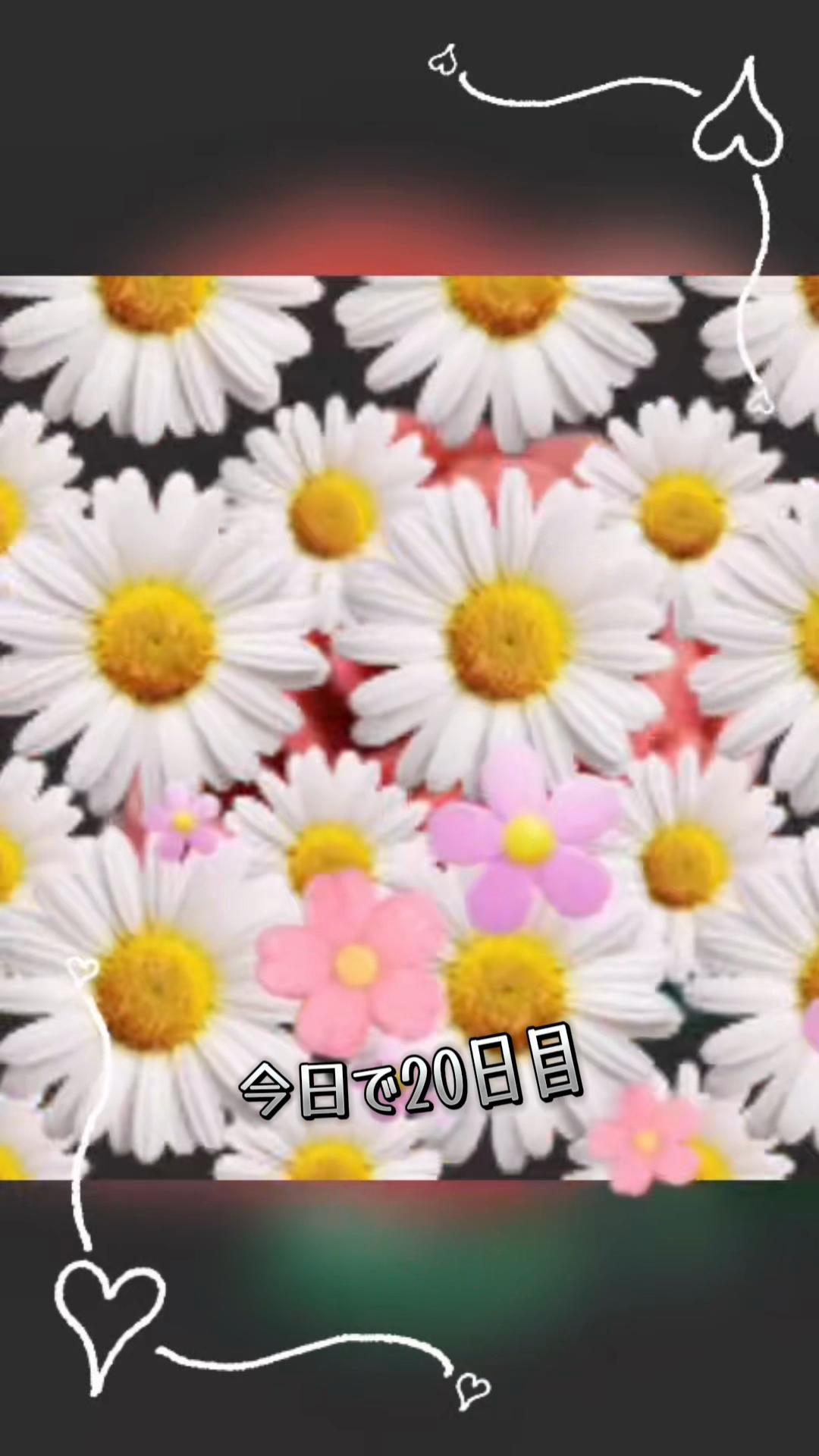 @はる🫅💞