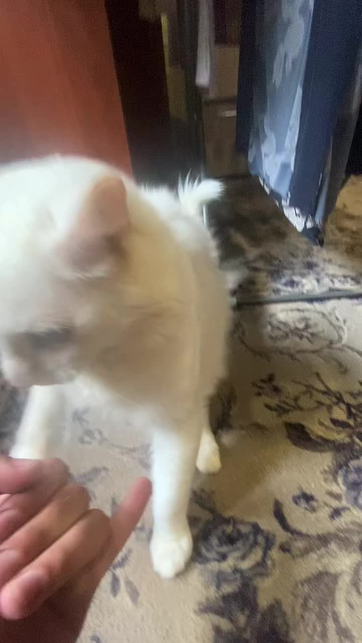 @ne.tatar_na_kaife