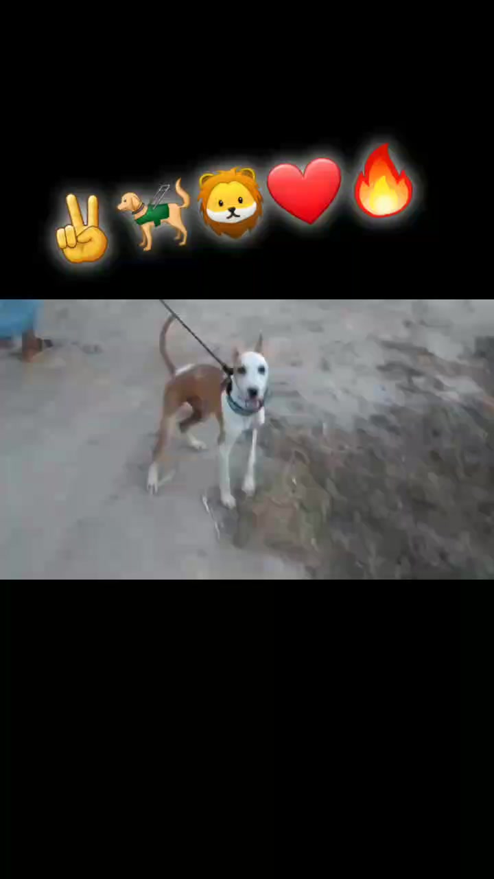 @جہانگیر خان✌❤❤ geo