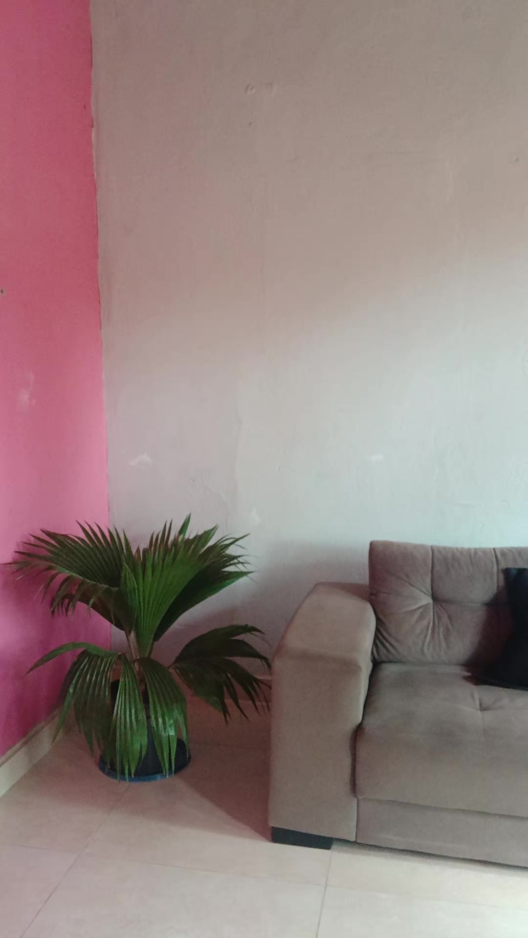 @famozinha do tiktok