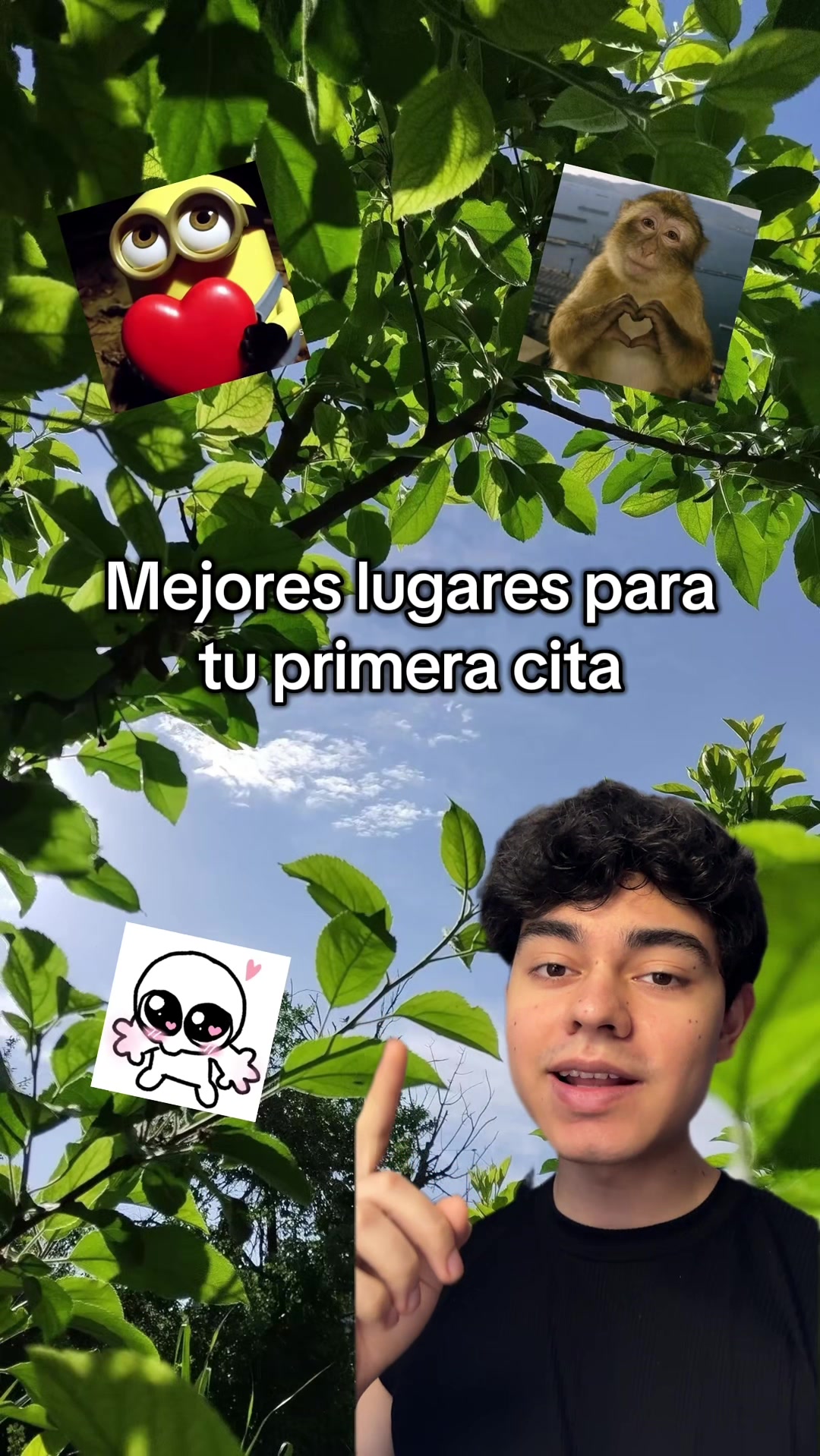 @javigainzz