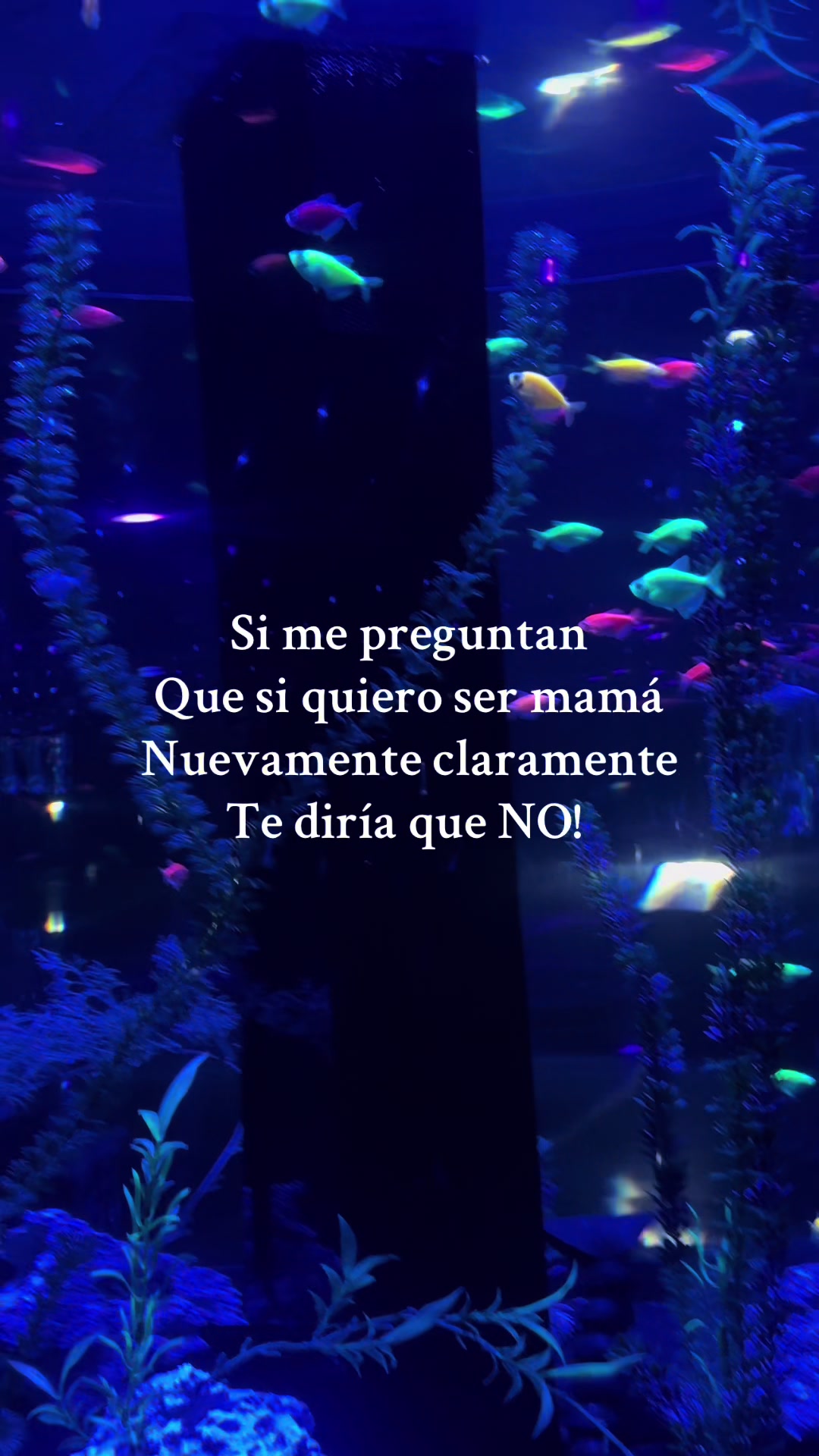 @Anahi Marroquin