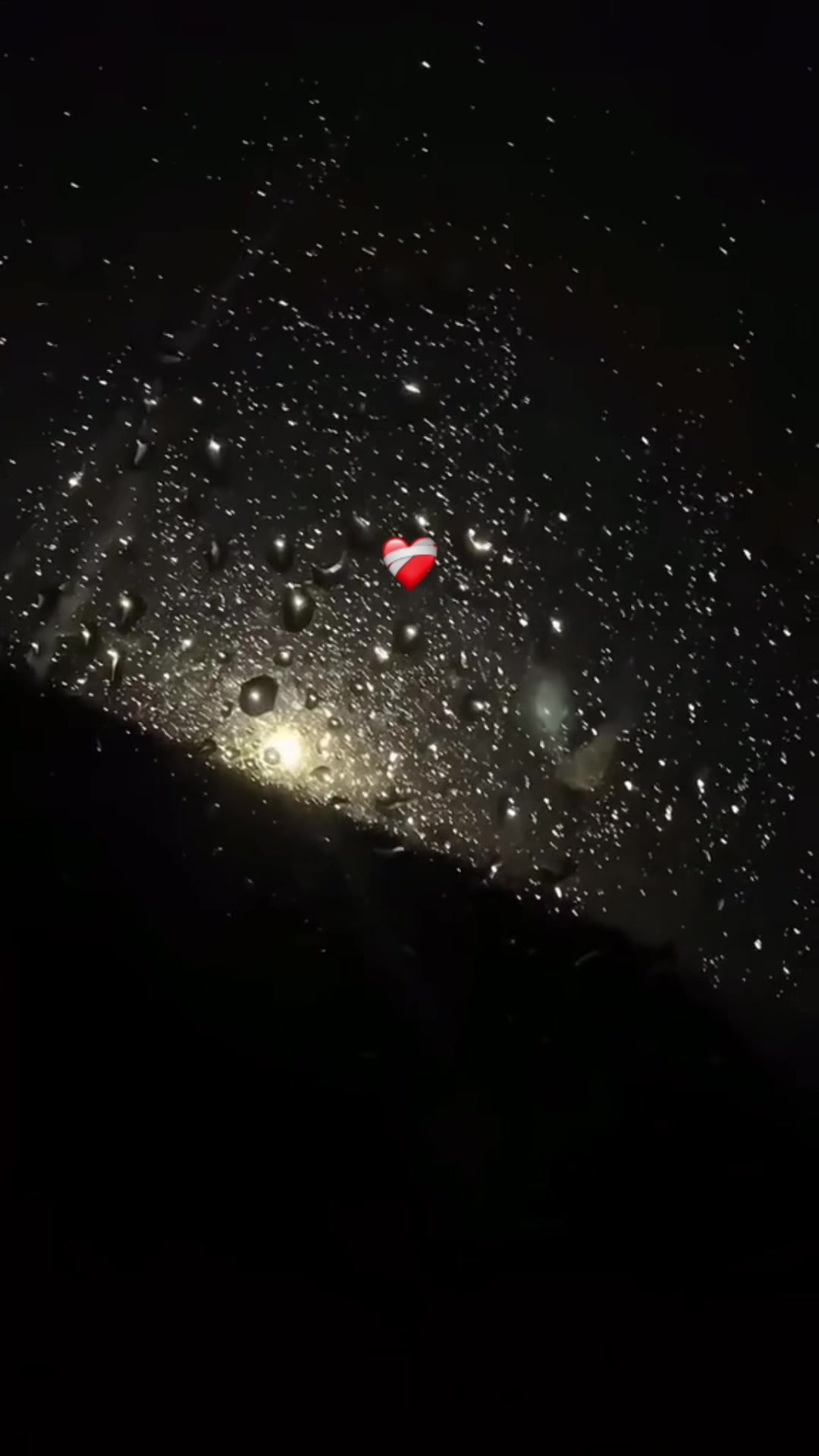 @🦋