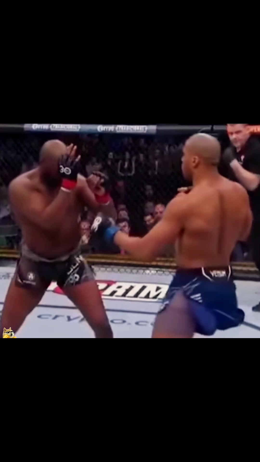 @boxingcat1
