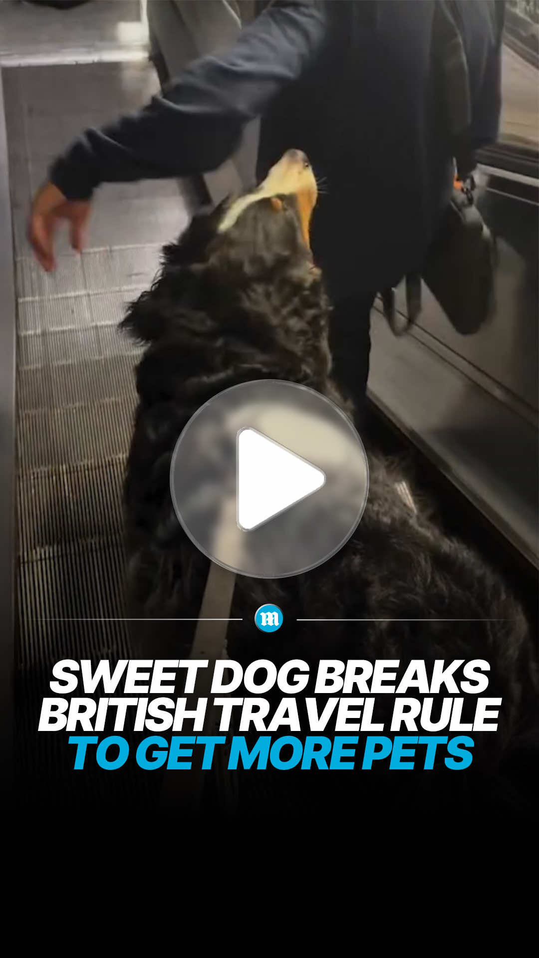 @Daily Mail UK