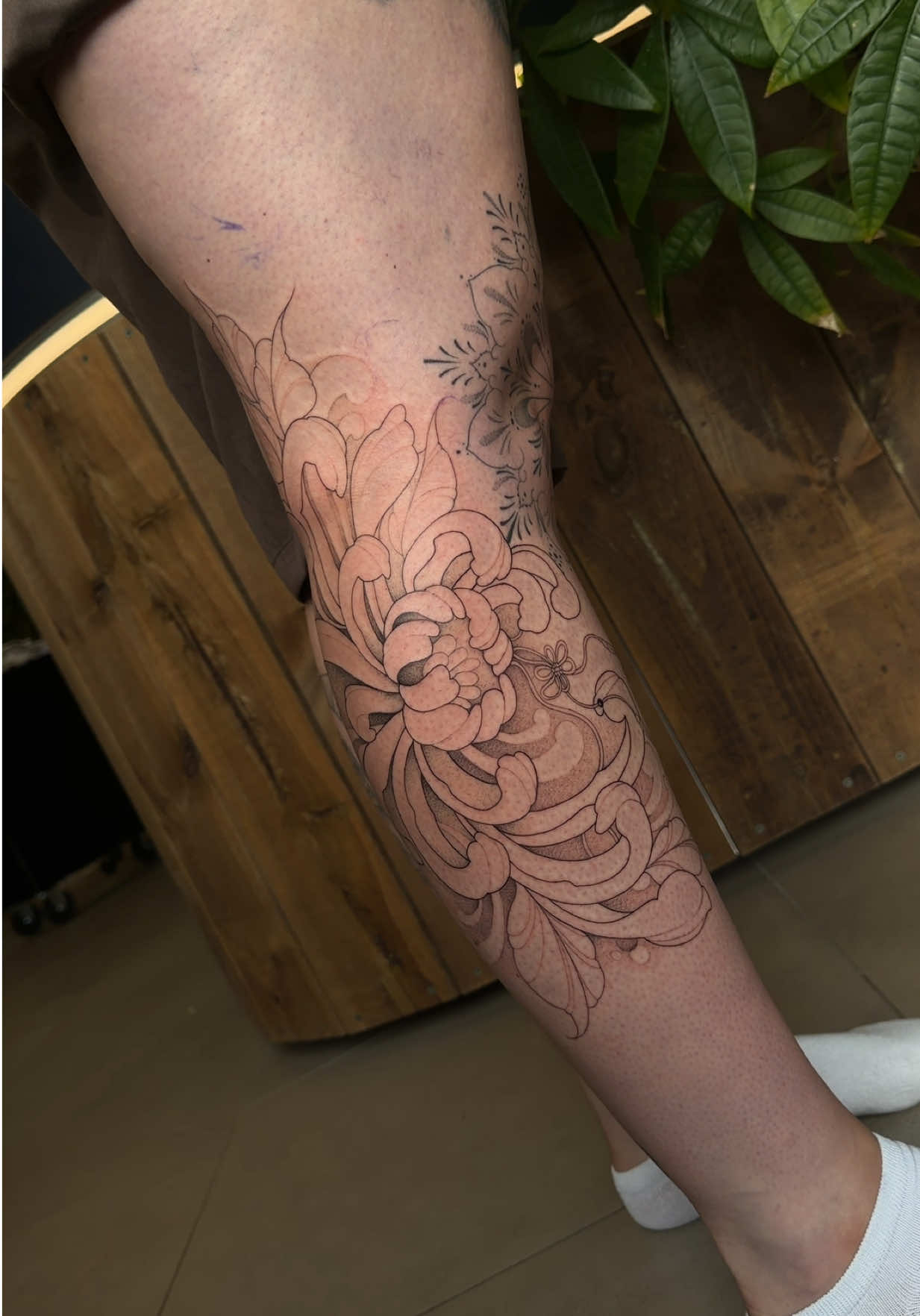 @Molly Tattoos❤️🔥