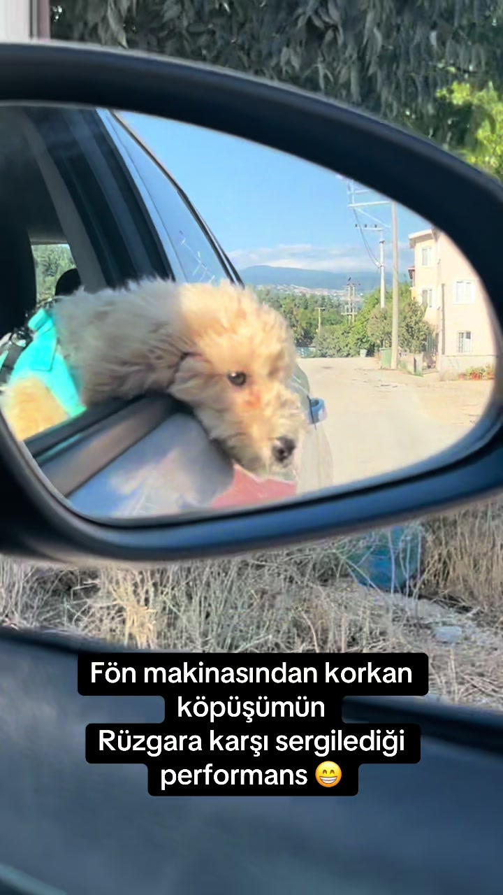 @Nurcanyavuz