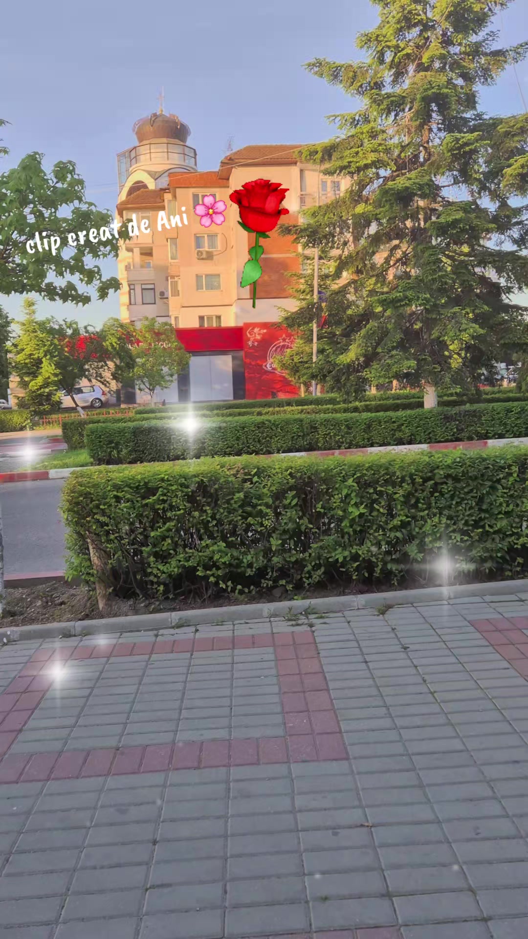 @♡5aNi♡7🌸