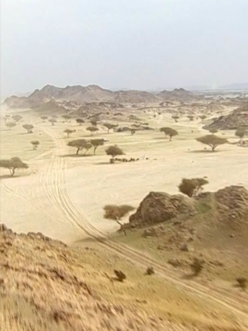 @Dakar Rally