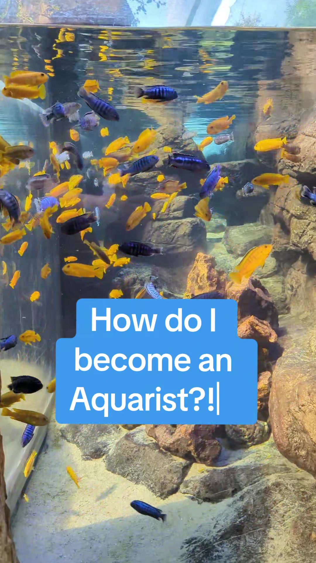 @BristolAquarium