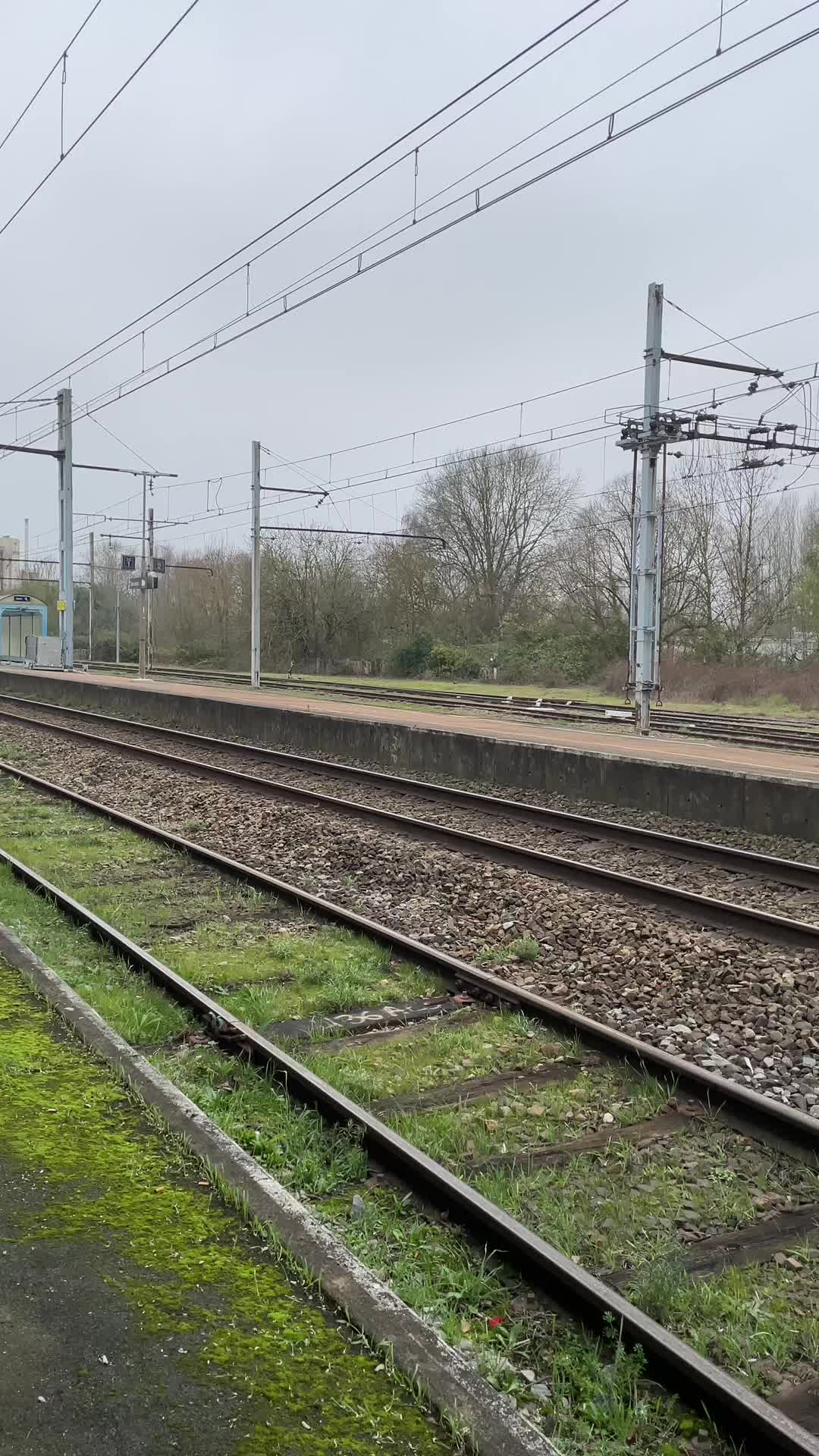 @Max 🚂