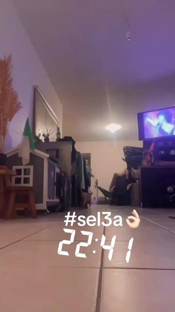 @sel3ate3na213