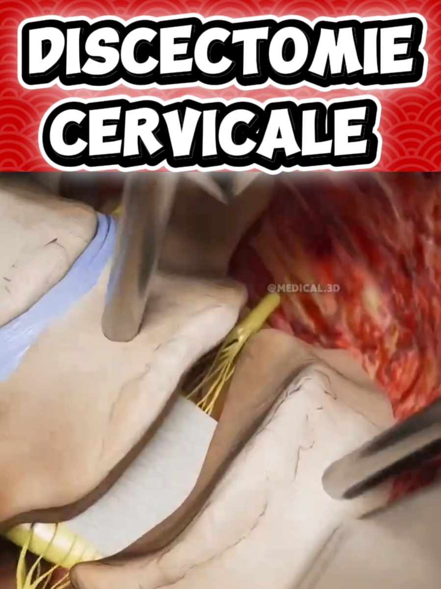 @Docteur Shepherd