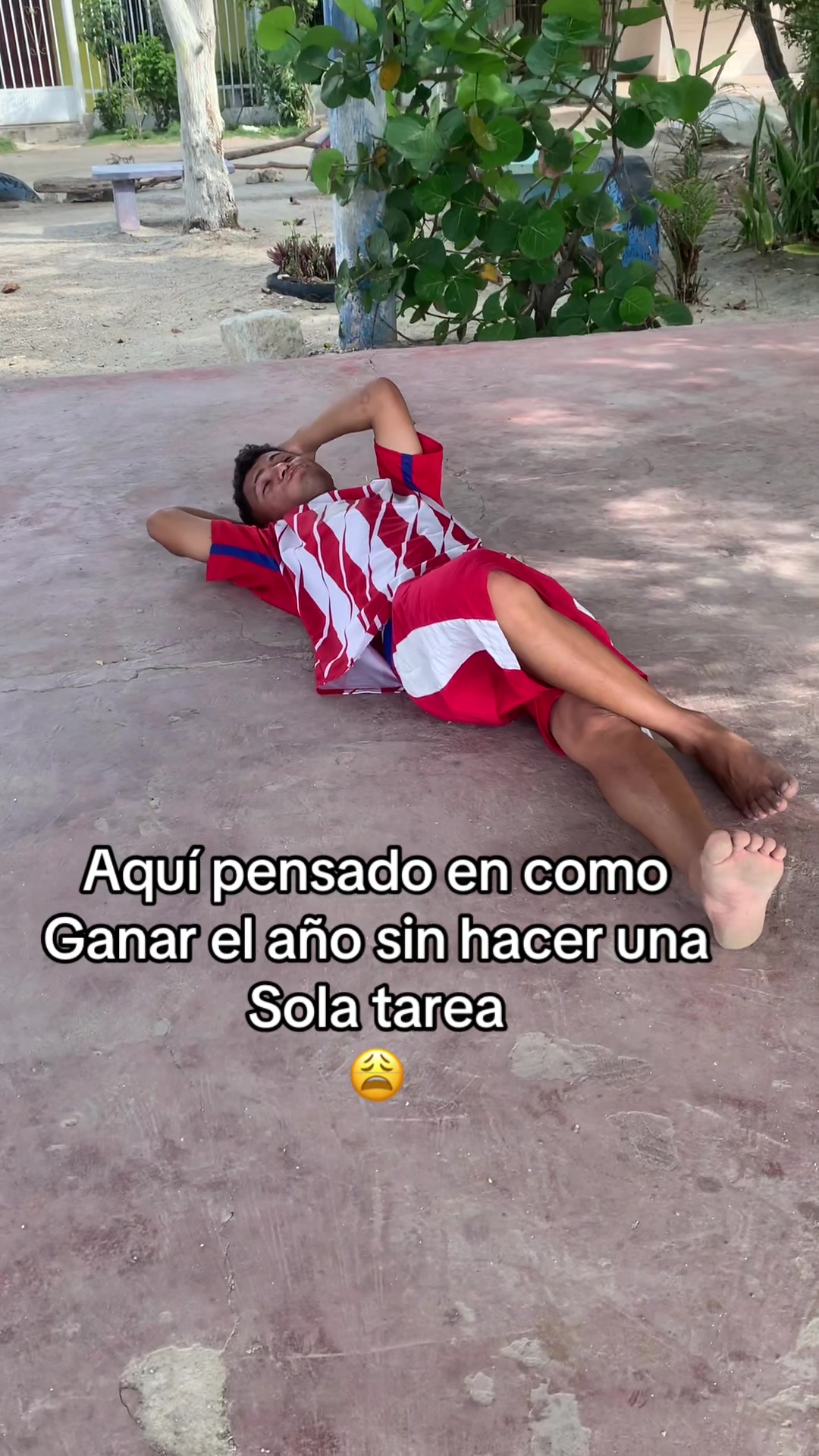 @Gato_Humor_Oficial